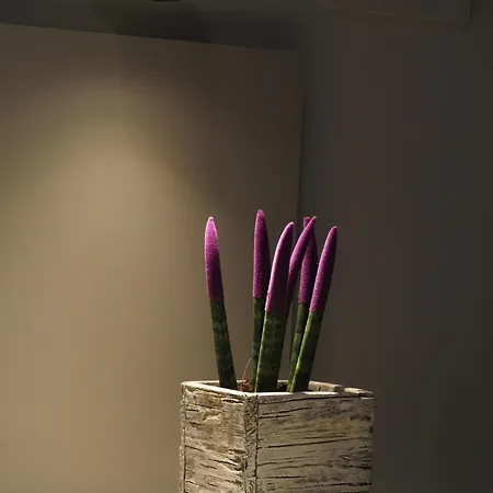 Relais Dogana Nocleg ze śniadaniem 3*